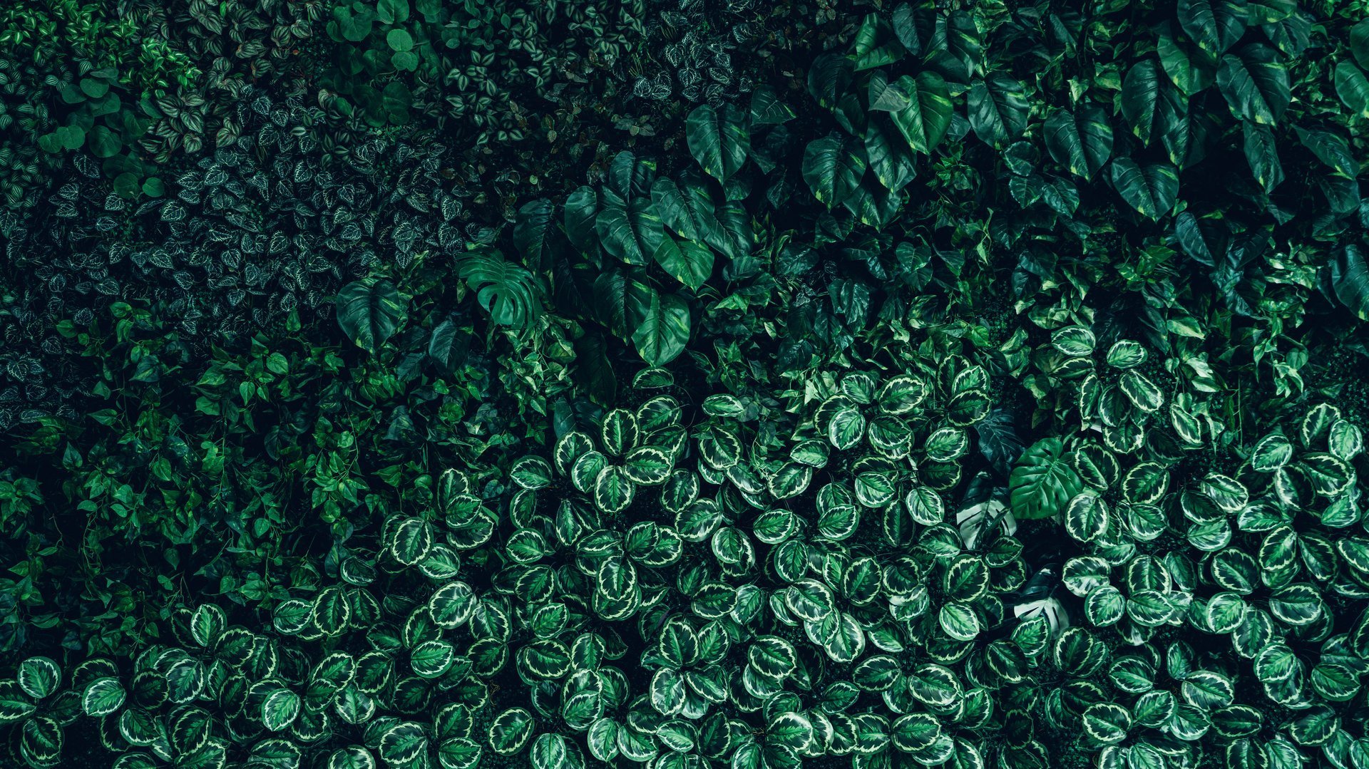 Arts and crafts supplies and materials