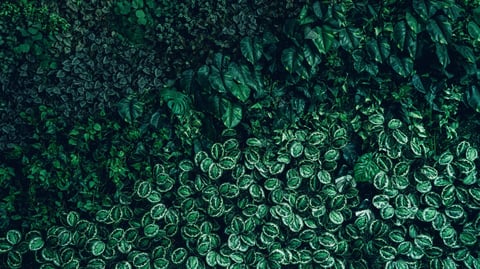 Arts and crafts supplies